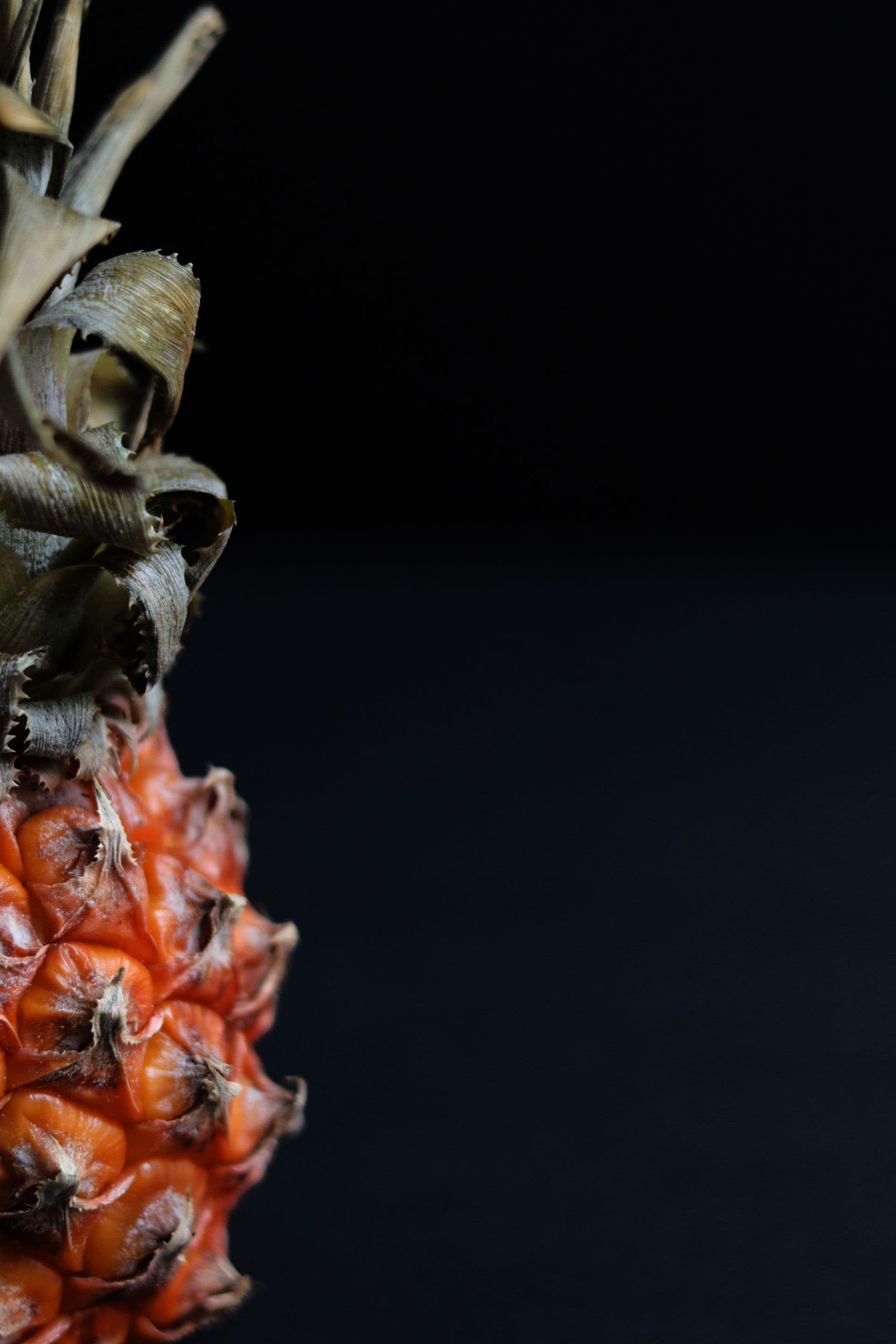 Hacivat vs Aventus : faut-il vraiment payer le prix Creed ?